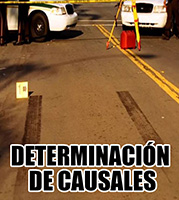 DETERMINACIÓN DE CAUSALES EN ACCIDENTES DE TRÁNSITO